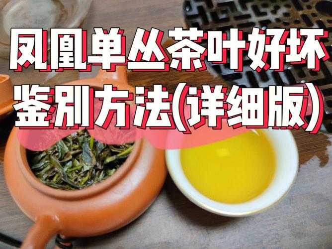 茶叶长期保存方法（茶叶存放最好的方法）