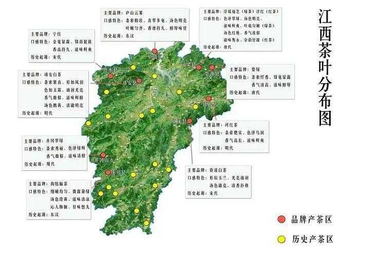 茶产地在全国分布（中国四大产茶区是哪四大）